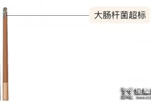 如何科學拯救家里的廚房清潔？帥太一篇講清楚，趕緊收藏！